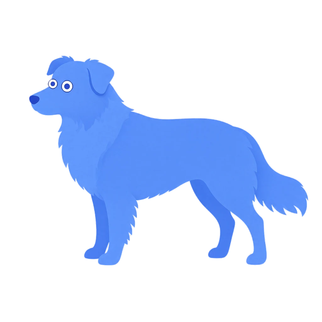 Pawl, a blue Australian Shepherd
